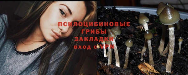 не бодяженный Алзамай
